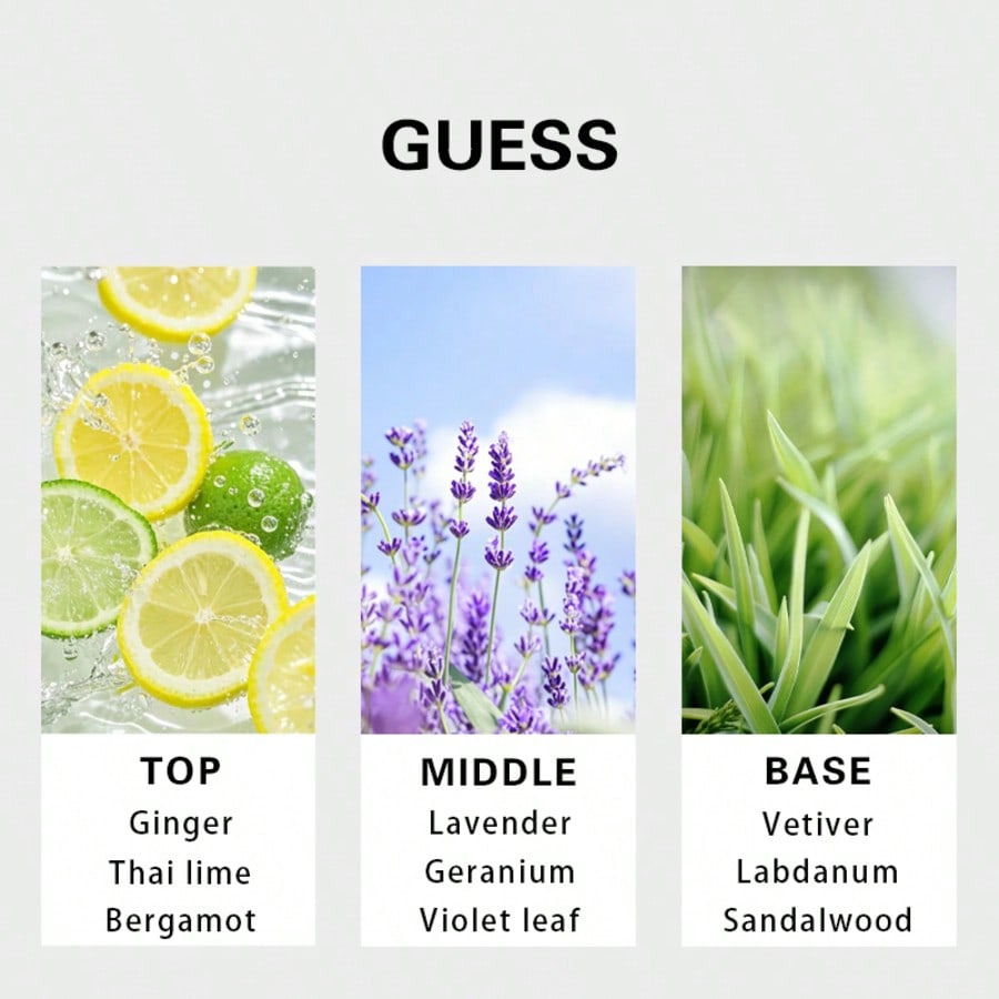 Guess Forever men Eau De Toile - Perfume The Fragrance recension och pris